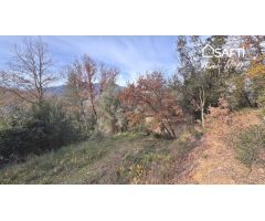 Masía Reconstruible en pleno Bosque y Naturaleza con Vistas Panorámicas.