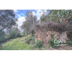 Masía Reconstruible en pleno Bosque y Naturaleza con Vistas Panorámicas.