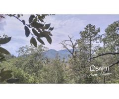 Masía Reconstruible en pleno Bosque y Naturaleza con Vistas Panorámicas.