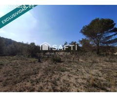Terreno agrario con caseta en Partida Arguidas, (SEGORBE).