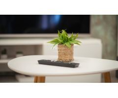 Apartamento en Venta en Arona Santa Cruz de Tenerife