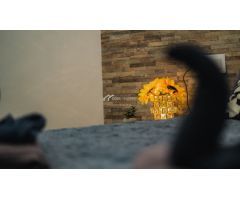 Apartamento en Venta en Arona Santa Cruz de Tenerife