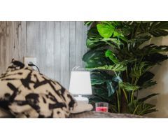 Apartamento en Venta en Arona Santa Cruz de Tenerife