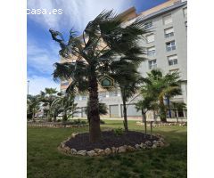 Piso en Venta en Oliva Valencia 