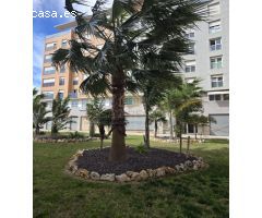 Piso en Venta en Oliva Valencia 