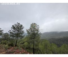 Casa-Chalet en Venta en Torralba Del Pinar Castellón 