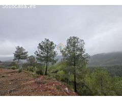 Casa-Chalet en Venta en Torralba Del Pinar Castellón 