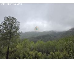 Casa-Chalet en Venta en Torralba Del Pinar Castellón 