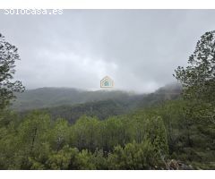 Casa-Chalet en Venta en Torralba Del Pinar Castellón 