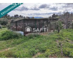 FINCA CON CASA; PISCINA , TERRAZAS Y TERRENO