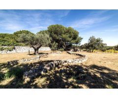 EN VENTA IMPRESIONANTE CHALET INDEPENDIENTE EN COLMENAREJO (MADRID).