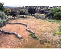EN VENTA IMPRESIONANTE CHALET INDEPENDIENTE EN COLMENAREJO (MADRID).