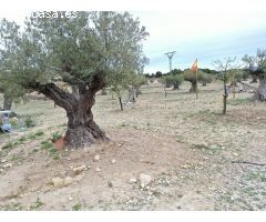 Casa de campo a la venta en Yecla - 2 dormitorios - Sin comisión