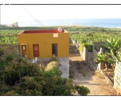 Finca de plataneras en explotación con casa