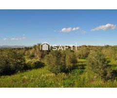 Joya Escondida en Campos! Finca Rustica con muchas posibilidades para reformar