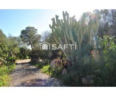 Joya Escondida en Campos! Finca Rustica con muchas posibilidades para reformar