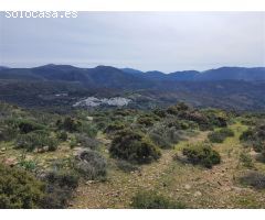 Casa de campo-Masía en Venta en Parauta Málaga 