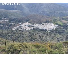 Casa de campo-Masía en Venta en Parauta Málaga 