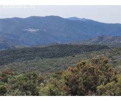 Casa de campo-Masía en Venta en Parauta Málaga 