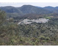 Casa de campo-Masía en Venta en Parauta Málaga 