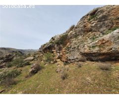 Casa de campo-Masía en Venta en Parauta Málaga 