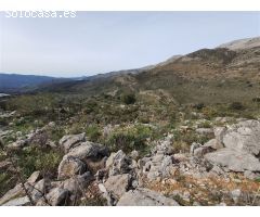 Casa de campo-Masía en Venta en Parauta Málaga 