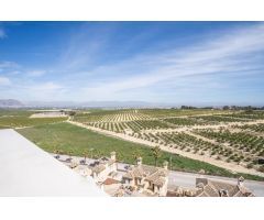 Casa-Chalet en Venta en Algorfa Alicante