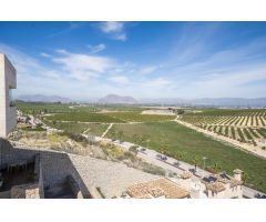 Casa-Chalet en Venta en Algorfa Alicante