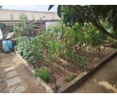 Casa-Chalet en Venta en Vendrell, El Tarragona