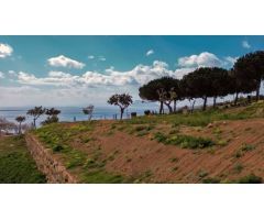 PARCELA URBANIZABLE CON VISTAS AL MAR EN BAHÍA DE LAS ROCAS 