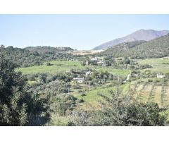 EN VENTA CASA CON TERRENO EN CASARES 