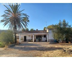 ESTUPENDA PARCELA AGRÍCOLA CON CASA MUY CERCA DEL PUEBLO DE ESTEPONA 