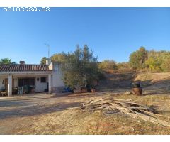ESTUPENDA PARCELA AGRÍCOLA CON CASA MUY CERCA DEL PUEBLO DE ESTEPONA 