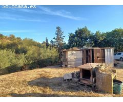 ESTUPENDA PARCELA AGRÍCOLA CON CASA MUY CERCA DEL PUEBLO DE ESTEPONA 