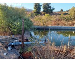 ESTUPENDA PARCELA AGRÍCOLA CON CASA MUY CERCA DEL PUEBLO DE ESTEPONA 