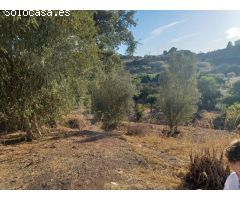 ESTUPENDA PARCELA AGRÍCOLA CON CASA MUY CERCA DEL PUEBLO DE ESTEPONA 