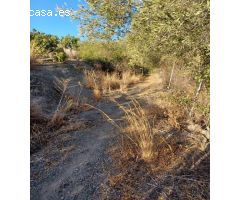 ESTUPENDA PARCELA AGRÍCOLA CON CASA MUY CERCA DEL PUEBLO DE ESTEPONA 