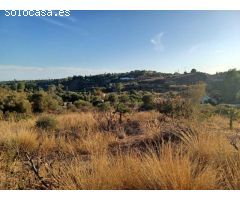 ESTUPENDA PARCELA AGRÍCOLA CON CASA MUY CERCA DEL PUEBLO DE ESTEPONA 