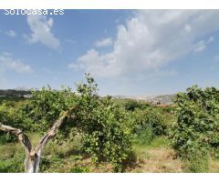 PARCELA DE MAS DE 7000M2 CON CASA DE CAMPO Y HUERTO