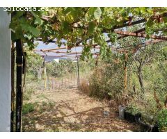 PARCELA DE MAS DE 7000M2 CON CASA DE CAMPO Y HUERTO