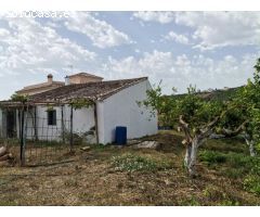 PARCELA DE MAS DE 7000M2 CON CASA DE CAMPO Y HUERTO