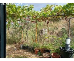 PARCELA DE MAS DE 7000M2 CON CASA DE CAMPO Y HUERTO