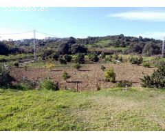 CASA Y FINCA EN UN ENTORNO PARADISIACO
