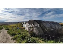 Parcela con naves en venta. Espacio industrial en zona Ermita Vieja de Jódar. SIN COMISIÓN DE COMPRA
