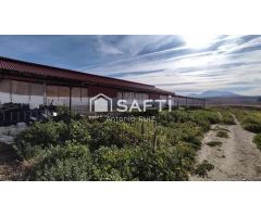 Parcela con naves en venta. Espacio industrial en zona Ermita Vieja de Jódar. SIN COMISIÓN DE COMPRA
