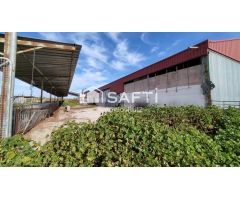 Parcela con naves en venta. Espacio industrial en zona Ermita Vieja de Jódar. SIN COMISIÓN DE COMPRA