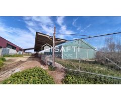 Parcela con naves en venta. Espacio industrial en zona Ermita Vieja de Jódar. SIN COMISIÓN DE COMPRA