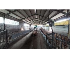 Parcela con naves en venta. Espacio industrial en zona Ermita Vieja de Jódar. SIN COMISIÓN DE COMPRA