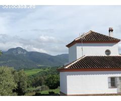 FINCA RURAL EN PLENA SIERRA DE CÁDIZ