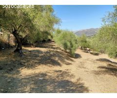 Casa de campo-Masía en Venta en Cortes De La Frontera Málaga 